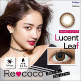 CONTACT LENS Japan Daily P-5.50