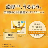 ROHTO Hada Labo Gokujyun Premium Hyaluronic Super Moist Cream 50g