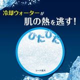 KAO Biore Cold Wipes Unscented 20 pcs